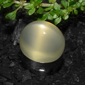 Pierre de lune étoilée Jaune clair naturelle Coupe ovale, 11.57 ct, Translucide