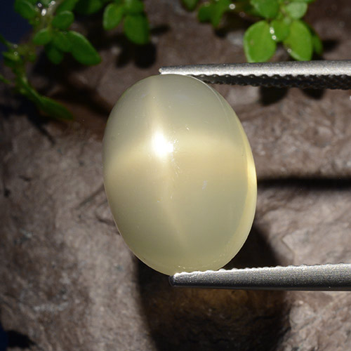 Pierre de lune étoilée jaune naturelle coupe ovale, 7,58 ct, translucide