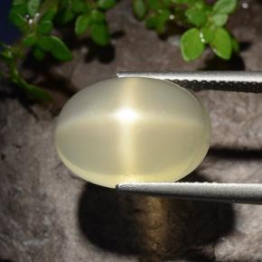 Pierre de lune étoilée jaune naturelle coupe ovale, 7,58 ct, translucide