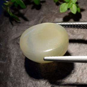 Pierre de lune étoilée blanc naturelle coupe ovale, 11,40 ct, translucide