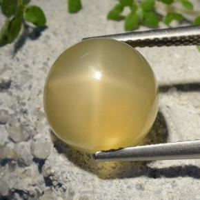 Pierre de lune étoilée Jaune moyen naturelle Coupe roude, 7.32 ct, Translucide