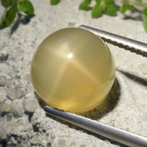 Pierre de lune étoilée Jaune moyen naturelle Coupe roude, 7.32 ct, Translucide