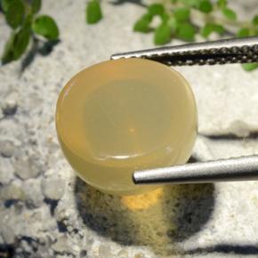 Pierre de lune étoilée Jaune moyen naturelle Coupe roude, 7.32 ct, Translucide