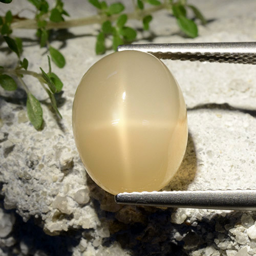 Pierre de lune étoilée jaune naturelle coupe ovale, 7,68 ct, translucide