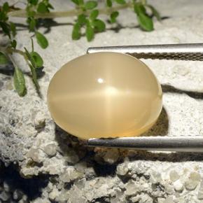 Pierre de lune étoilée jaune naturelle coupe ovale, 7,68 ct, translucide