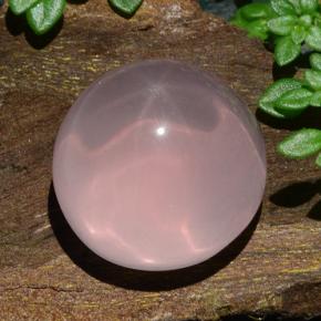 Quartz rose étoilé rose naturelle coupe roude, 18,85 ct, translucide