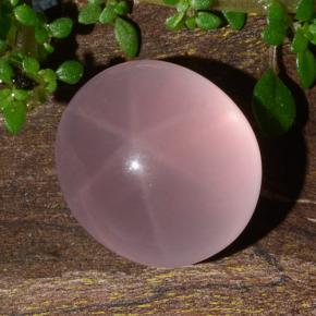 Quartz rose étoilé Rose naturelle Coupe ovale, 11.88 ct, Translucide