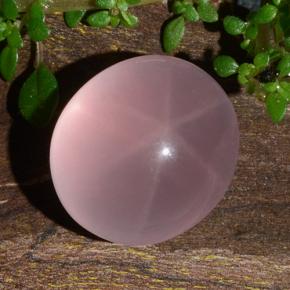 Quartz rose étoilé Rose naturelle Coupe ovale, 11.88 ct, Translucide