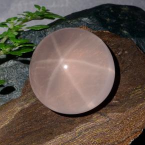 Quartz rose étoilé Rose naturelle Coupe roude, 39.98 ct, Translucide
