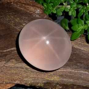 Quartz rose étoilé Rose naturelle Coupe ovale, 29.97 ct, Translucide