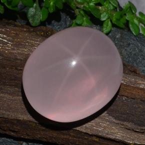 Quartz rose étoilé Rose naturelle Coupe ovale, 29.56 ct, Translucide