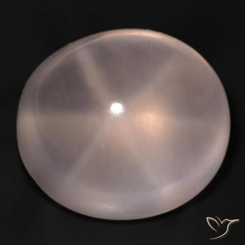 48.94ct Naturel Rose moyen Quartz rose étoilé, ovale, Transparent
