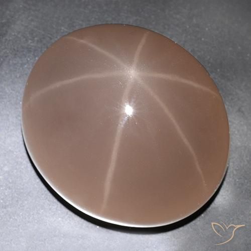 529.63ct Naturel Rouge coccinelle Quartz rose étoilé, ovale, Translucide