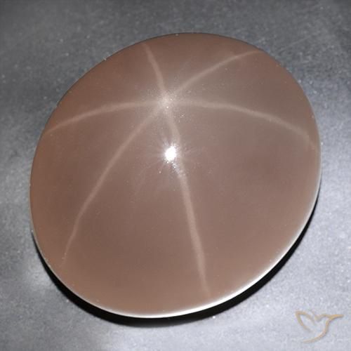Quartz rose étoilé Rouge coccinelle naturelle ovale, 529.63 ct, Translucide