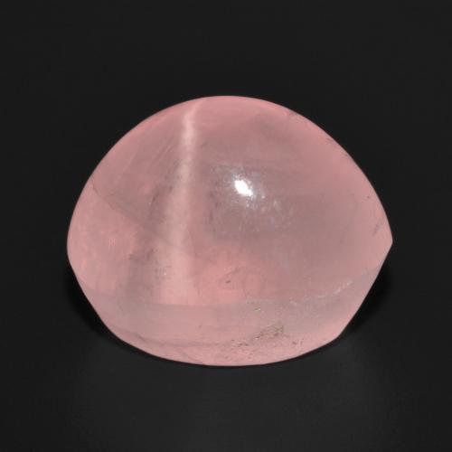 Quartz rose étoilé Rose moyen naturelle Coupe ovale, 15.66 ct, Translucide