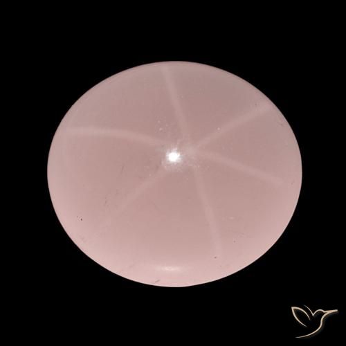62.47ct Ton rose Quartz rose étoilé, ovale, Translucide