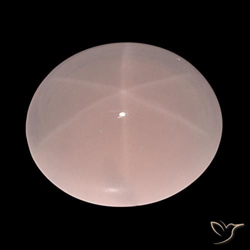 61.91ct Rose clair Quartz rose étoilé, ovale, Translucide