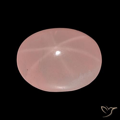 36.81ct Rose Quartz rose étoilé, ovale, Translucide