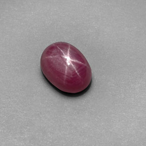Rubis Étoilé Rouge Rosâtre naturelle Coupe ovale, 1.63 ct, Opaque