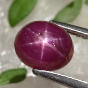 Rubis étoilé rouge naturelle coupe ovale, 2,91 ct, opaque