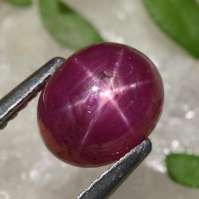 Rubis étoilé rouge naturelle coupe ovale, 2,91 ct, opaque
