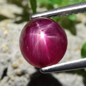 Rubis étoilé rouge naturelle coupe ovale, 2,27 ct, translucide
