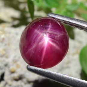 Rubis étoilé rouge naturelle coupe ovale, 2,27 ct, translucide