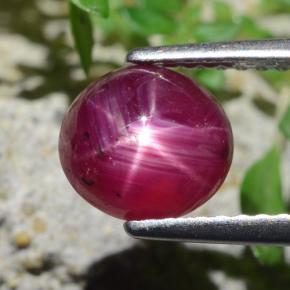 Rubis étoilé rouge naturelle coupe ovale, 2,27 ct, translucide