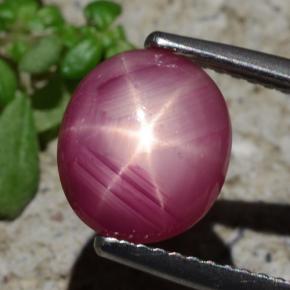 Rubis étoilé rouge naturelle coupe ovale, 3,05 ct, opaque