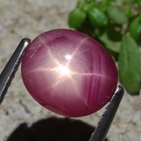 Rubis étoilé rouge naturelle coupe ovale, 3,05 ct, opaque