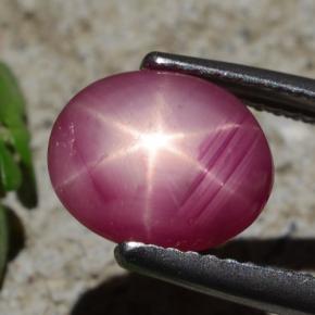 Rubis étoilé rouge naturelle coupe ovale, 3,05 ct, opaque