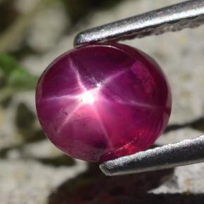Rubis Étoilé Rouge violacé naturelle Coupe ovale, 1.47 ct, Translucide