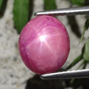 Rubis étoilé rouge naturelle coupe ovale, 4,47 ct, opaque