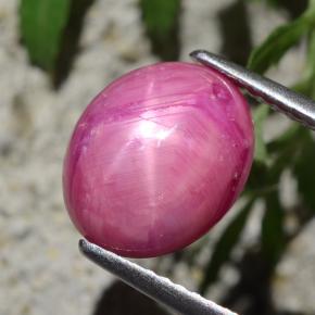 Rubis étoilé rouge naturelle coupe ovale, 4,47 ct, opaque