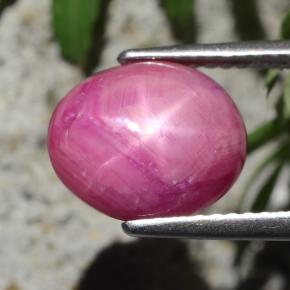 Rubis étoilé rouge naturelle coupe ovale, 4,47 ct, opaque
