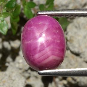 Rubis étoilé rouge naturelle coupe ovale, 4,79 ct, opaque