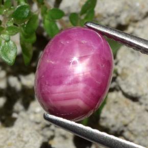 Rubis étoilé rouge naturelle coupe ovale, 4,79 ct, opaque