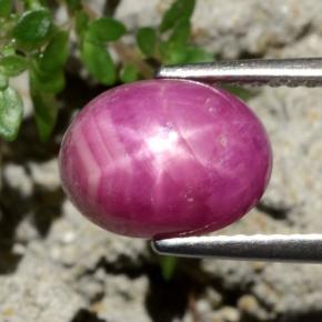 Rubis étoilé rouge naturelle coupe ovale, 4,79 ct, opaque