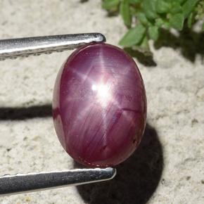 Rubis étoilé rouge naturelle coupe ovale, 2,68 ct, opaque