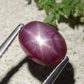 Rubis étoilé rouge naturelle coupe ovale, 2,68 ct, opaque