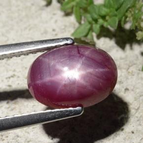Rubis étoilé rouge naturelle coupe ovale, 2,68 ct, opaque