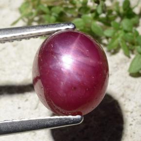 Rubis étoilé rouge naturelle coupe ovale, 5,01 ct, opaque