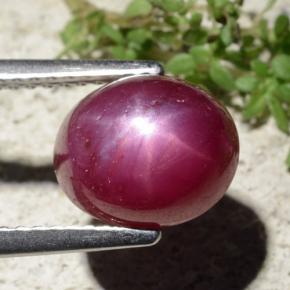 Rubis étoilé rouge naturelle coupe ovale, 5,01 ct, opaque