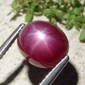 Rubis étoilé rouge naturelle coupe ovale, 5,01 ct, opaque