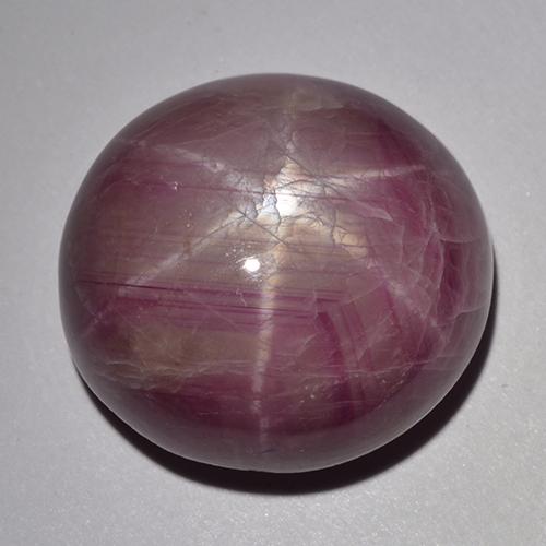 Rubis étoilé pourpre naturelle coupe ovale, 33,48 ct, opaque