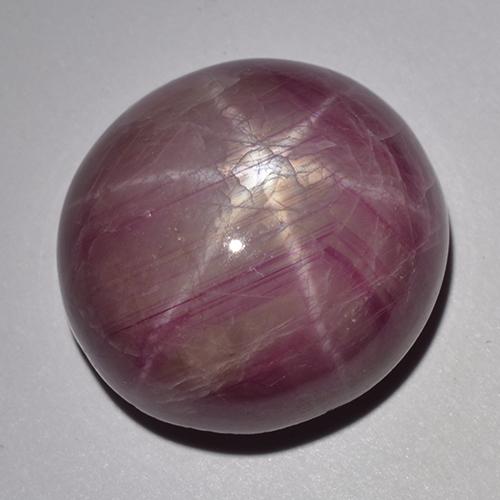 Rubis étoilé pourpre naturelle coupe ovale, 33,48 ct, opaque