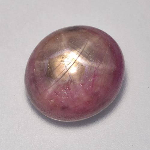 Rubis étoilé Violet rougeâtre naturelle Coupe ovale, 9.74 ct, Opaque