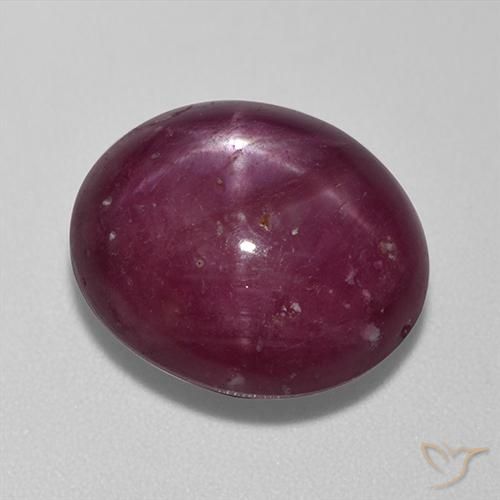 13.67ct Naturel Rouge foncé Rubis étoilé, ovale, Opaque