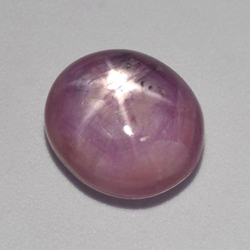 Rubis Étoilé Pourpre moyen-foncé naturelle Coupe ovale, 6.54 ct, Opaque