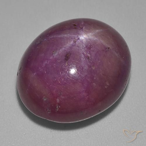 22.94ct Naturel Vin rouge Rubis étoilé, ovale, Opaque